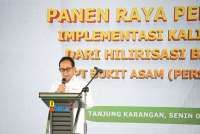 Panen Raya Hasil Padi Kalium Humat Bukti Hilirisasi Batubara Dukung Ketahanan Pangan