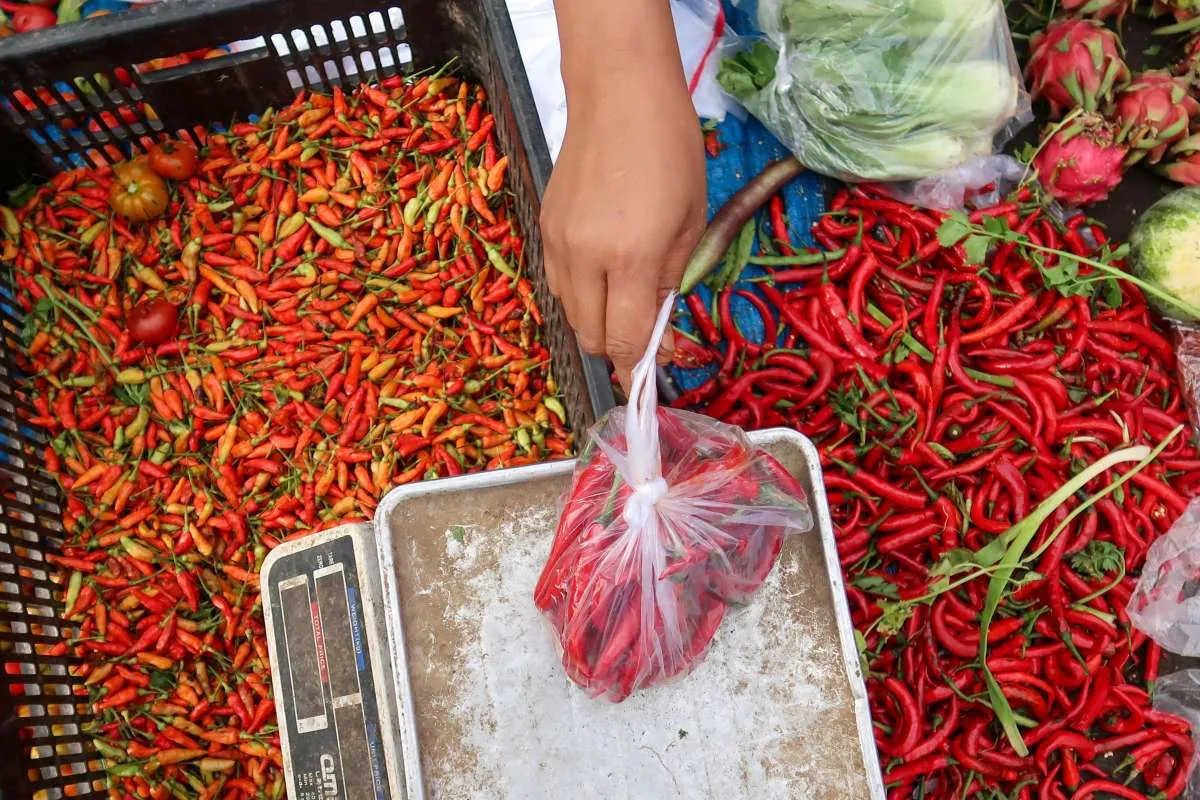 Harga Pangan Masih Tinggi di Ramadan, Kenaikan BBM Non-Subsidi Picu Kekhawatiran 