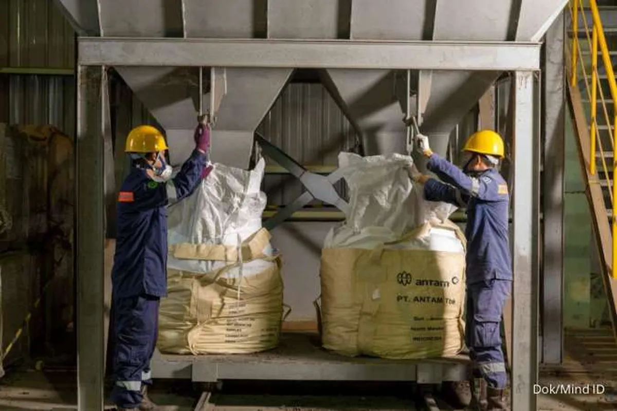 Mind Id Mendukung Swasembada Energi Lewat Hilirisasi dan Proyek Strategis