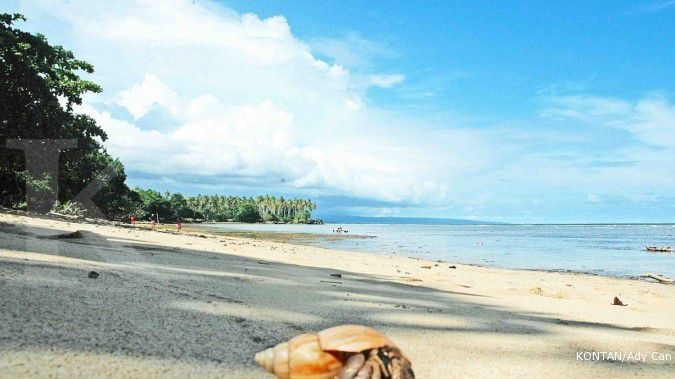 Pemerintah tawarkan peluang investasi di 5 pulau