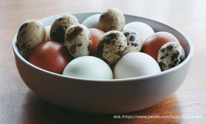 Daftar Kandungan Protein Telur Tertinggi, Pilih untuk Energi Optimal dan Daya Tahan