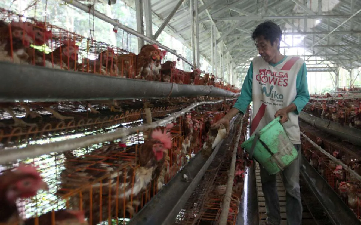 Anggaran Subsidi Bunga KUR Melonjak 1000% Jadi Rp 8,3 Triliun di Sepanjang 2022