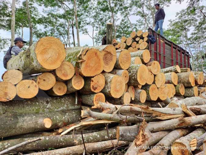 Industri Kayu Indonesia Butuh Regulasi Tepat dan Investasi untuk Pulih